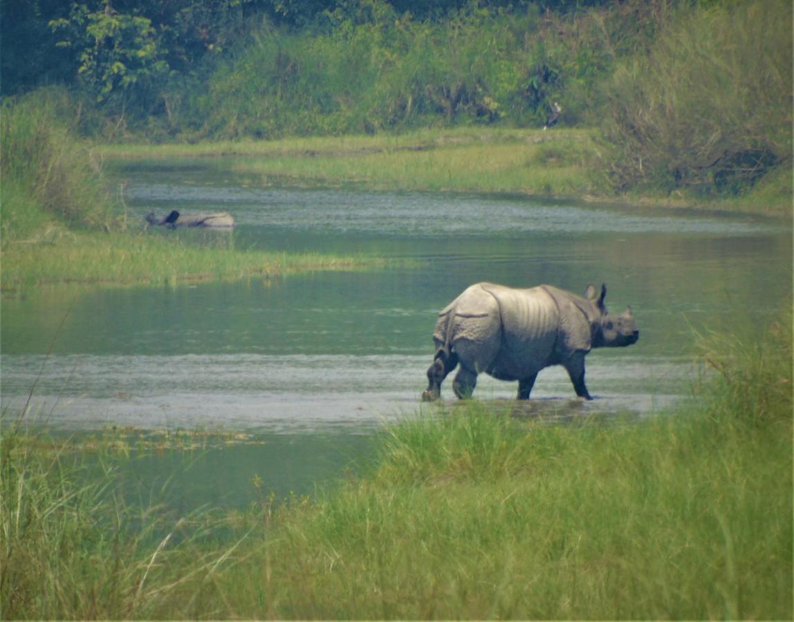 Mango Tree Lodge Bardiya Exterior photo