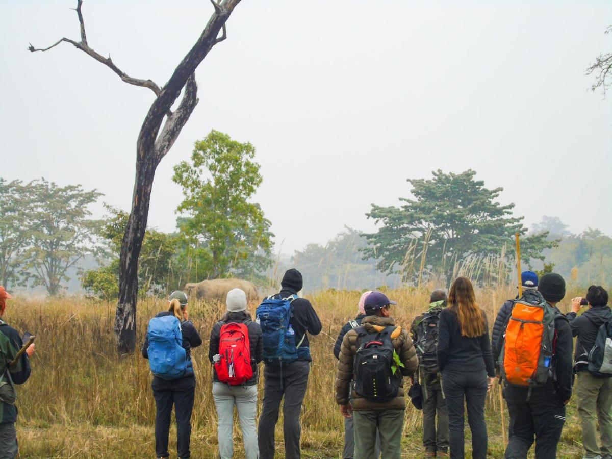 Mango Tree Lodge Bardiya Exterior photo
